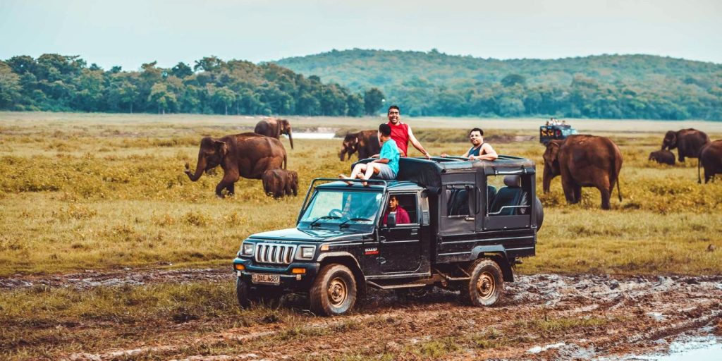 Adventure Rides